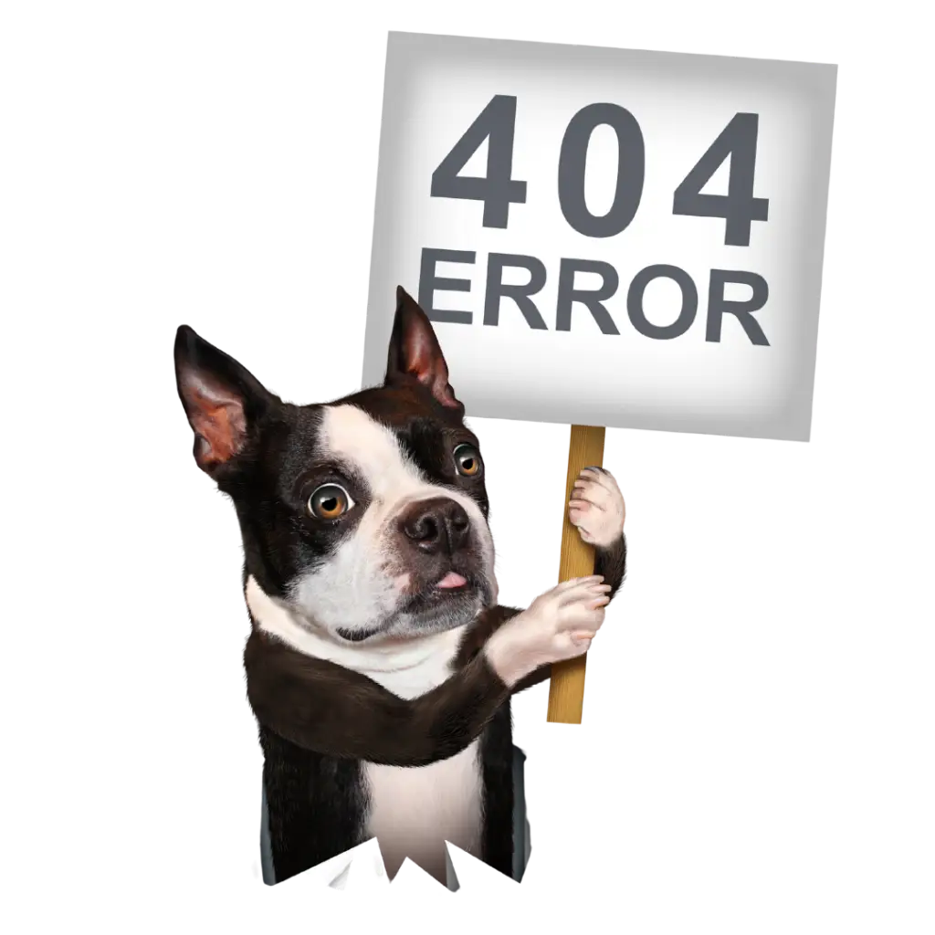 Dog holding 404 error sign
