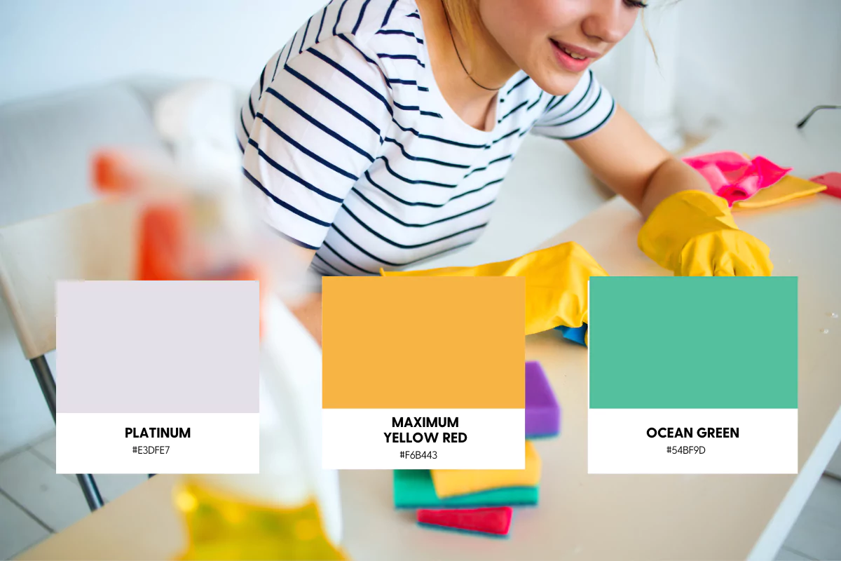 9 Best Color Palettes for Cleaning Service Websites in 2024 (+ Examples)
